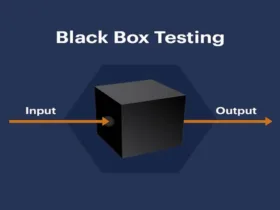 What is Black Box Testing