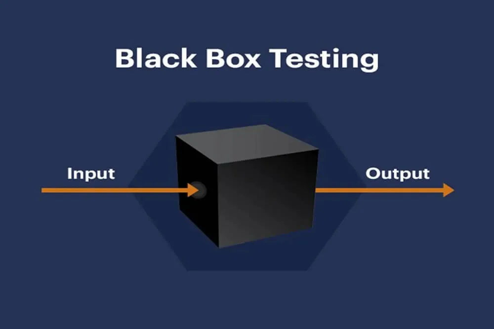 What is Black Box Testing